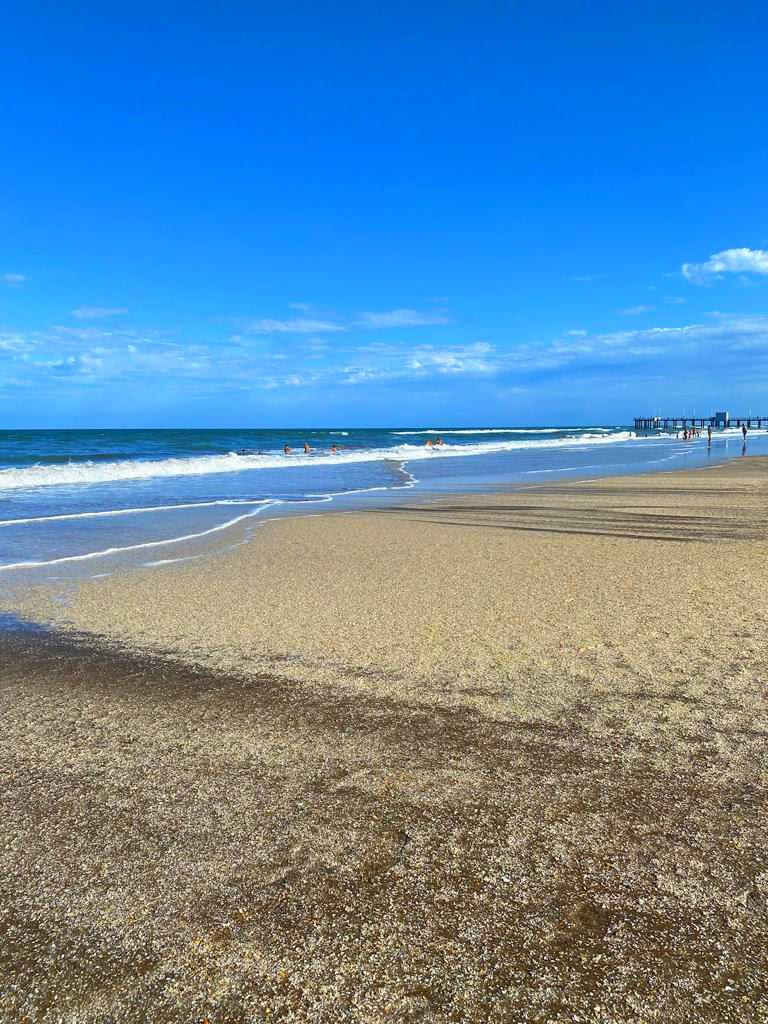 SentidoPinamar's tweet photo. Nos pasa que no aprovechamos las oportunidades porque el momento es malo, lo analizamos demasiado, a veces no hay que pensar tanto y sólo ir a por ello💪 https://t.co/58m1Ov75qX