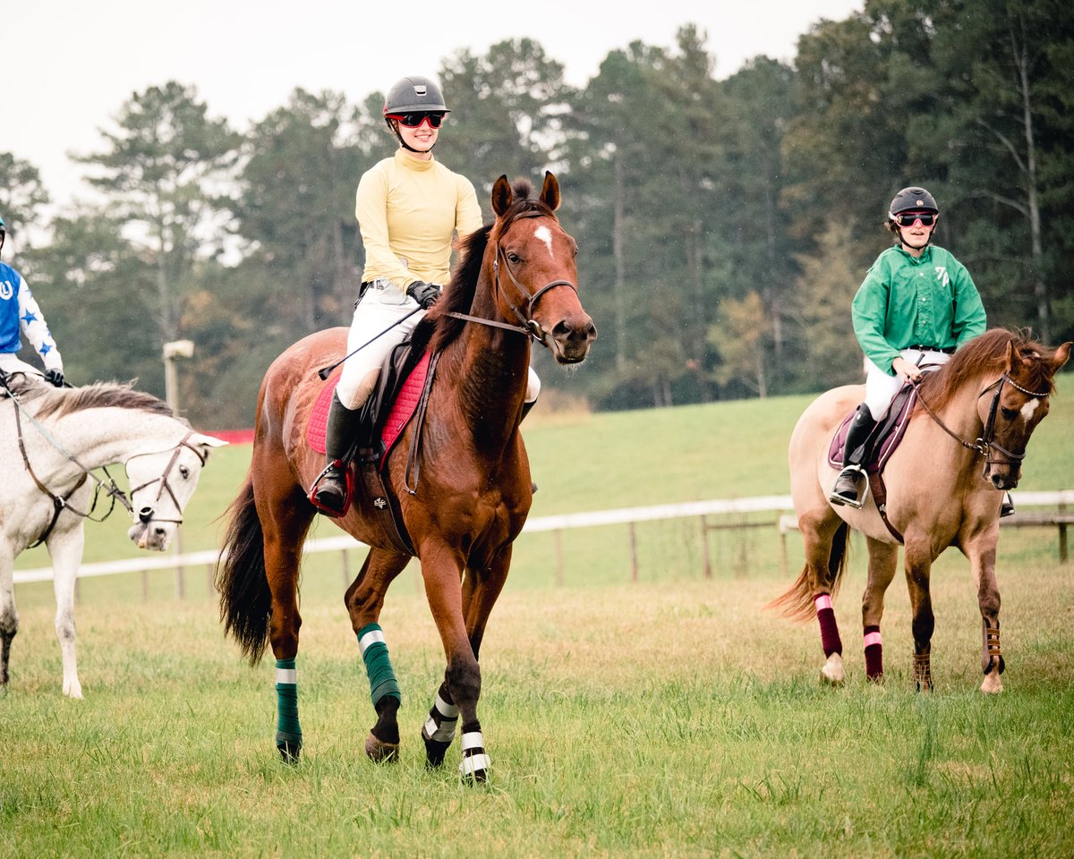 United States Jumps Racing Association tweet media