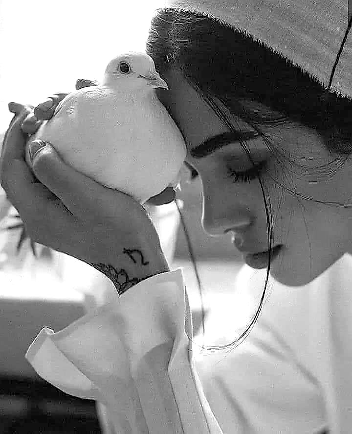 Meftunkelamm's tweet photo. #Sağlam olsun da bağlar,,,
Ne gurbet dağlar bağrı, ne yollar.
Yanık olsun #sevdalar da,
Ne dertler harlar sızıyı, ne gamlar..! 🕊🕊
#Canımdediklerim https://t.co/cKyyaBhtyb
