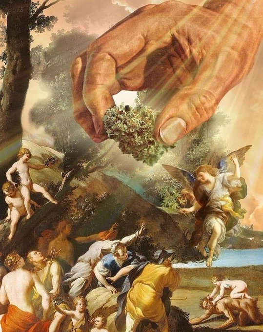 Heaven on earth 😇