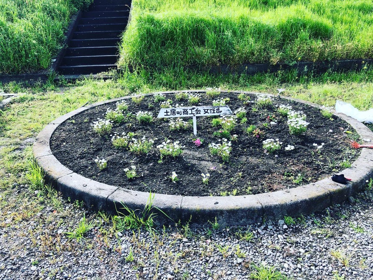 doi_sci's tweet photo. 昨日、4月16日（日）に定例の女性部花壇清掃活動を行いました。
好天に恵まれ、作業をすることができました。皆さんの協力で綺麗になりました🌻ありがとうございます！

#土居町商工会
#土居町商工会女性部
#関川河川敷ふるさと広場 https://t.co/tOrdyssv54