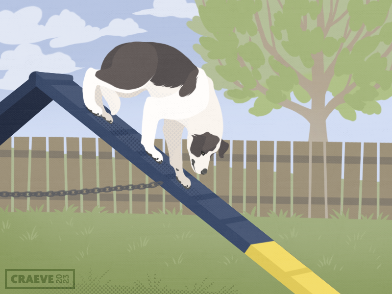 craeveyard's tweet photo. Sometimes you gotta conquer your fears. And sometimes those fears are A-Frames.
#AnimalArtist #ArtistOnTwitter #dogart https://t.co/APYfcAUdNf