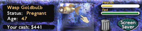 NoroSnail's tweet photo. Once this buddy gives birth I am gonna sell it before it dies. Make profit on the sick #FishTycoon https://t.co/syJxDJGys0