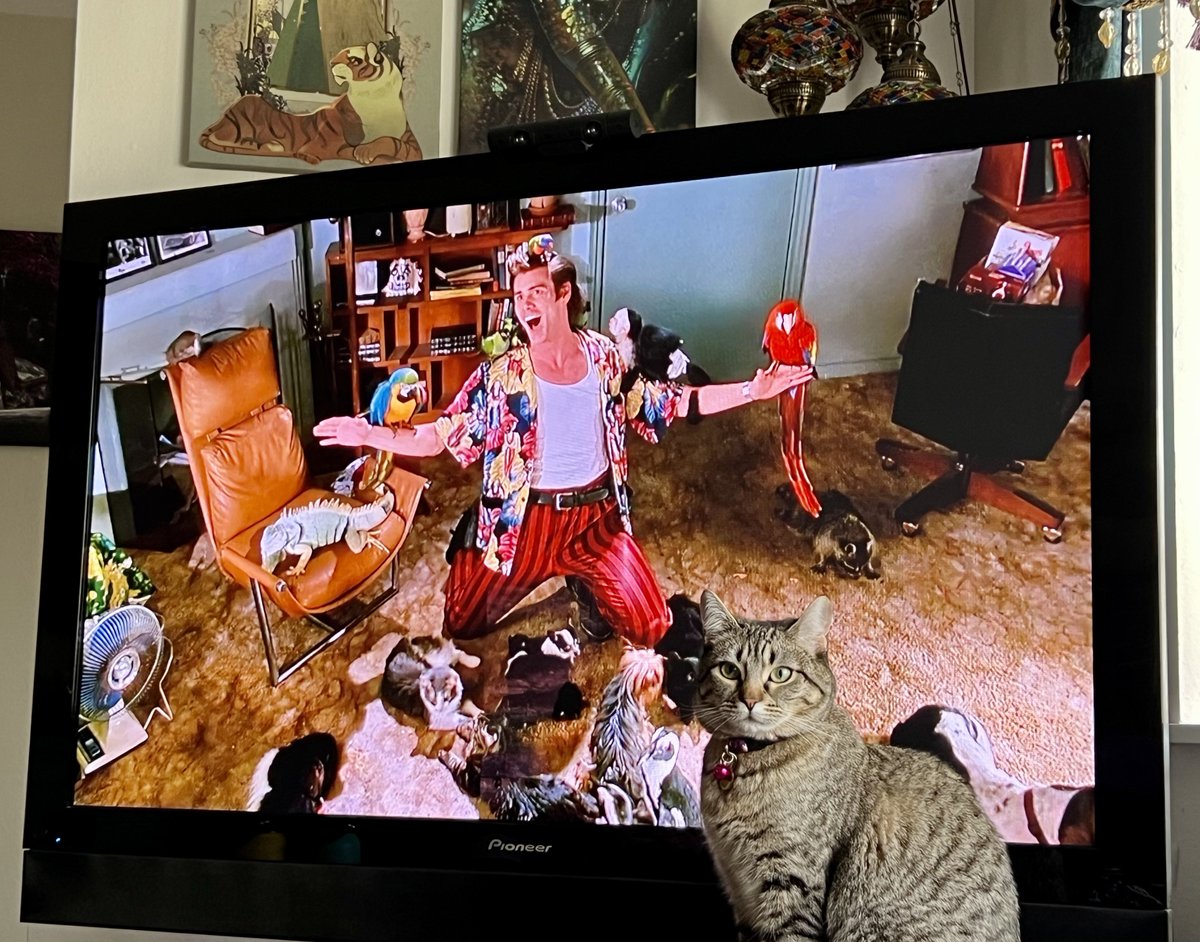 VaderJaws's tweet photo. #NowWatching ๐ฝ #JustWatched
This classic comedy (slightly edited),
our boysโ & Zaharaโs 1st time! ๐๐ฌ
#Bales2023FilmChallenge (Dolphin)
#GuessTheMovieโ
#OneFilmOneFrame ๐
#MoviesILoveNoExcuses ๐ฅ
@Gal22Sunshine @Rzlynt1
@krazykeithrules @Rzlynt2
@mothermayhem31 @cleaner https://t.co/WOYBPUnmA4