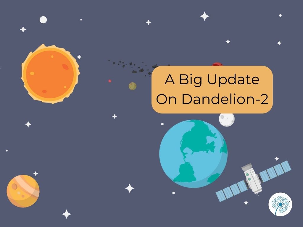 Dandelions.Cloud tweet media