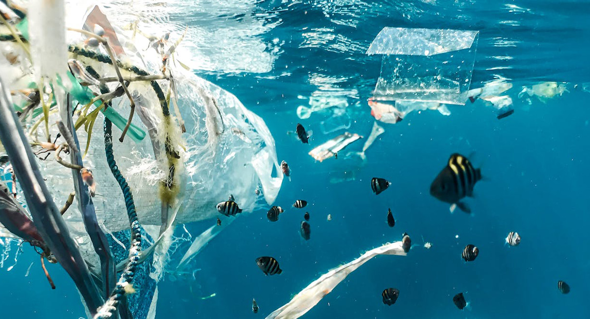UQ News (@uq_news) on Twitter photo New research by #UQ's <a href="/yolowaters/">Yolanda Waters</a> and <a href="/AngelaSocSci/">Angela Dean</a> has found that promoting small and easy actions, like reducing plastic use, can help people engage in other more effective actions to combat climate change.
Learn more via <a href="/ConversationEDU/">The Conversation - Australia + New Zealand</a>: bit.ly/43DLuD5 New research by #UQ's <a href="/yolowaters/">Yolanda Waters</a> and <a href="/AngelaSocSci/">Angela Dean</a> has found that promoting small and easy actions, like reducing plastic use, can help people engage in other more effective actions to combat climate change.
Learn more via <a href="/ConversationEDU/">The Conversation - Australia + New Zealand</a>: bit.ly/43DLuD5