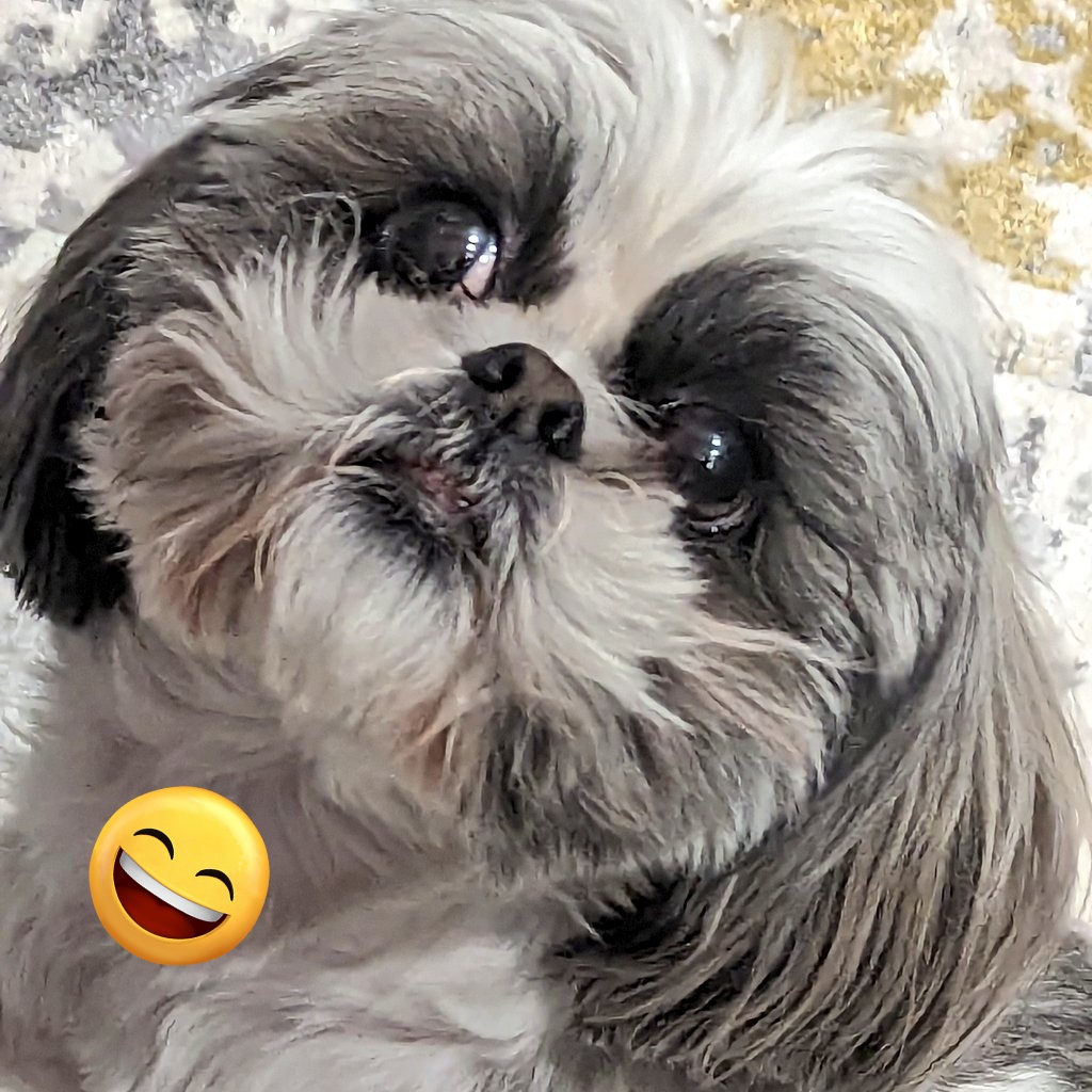 Mamá: *deprimida*
Yo: Mamá, te tengo una mala noticia... 
Mamá: Qué paso Javo??
Yo: No tiene caso, rindete, nuestro éxito es inevitable... No importa lo que hagas, siempre nos irá bien...
Mamá: Hahaha sope! 

Positividad Fatalista 🫠
<a href="/SoyLauraRivas/">Laura Rivas</a>