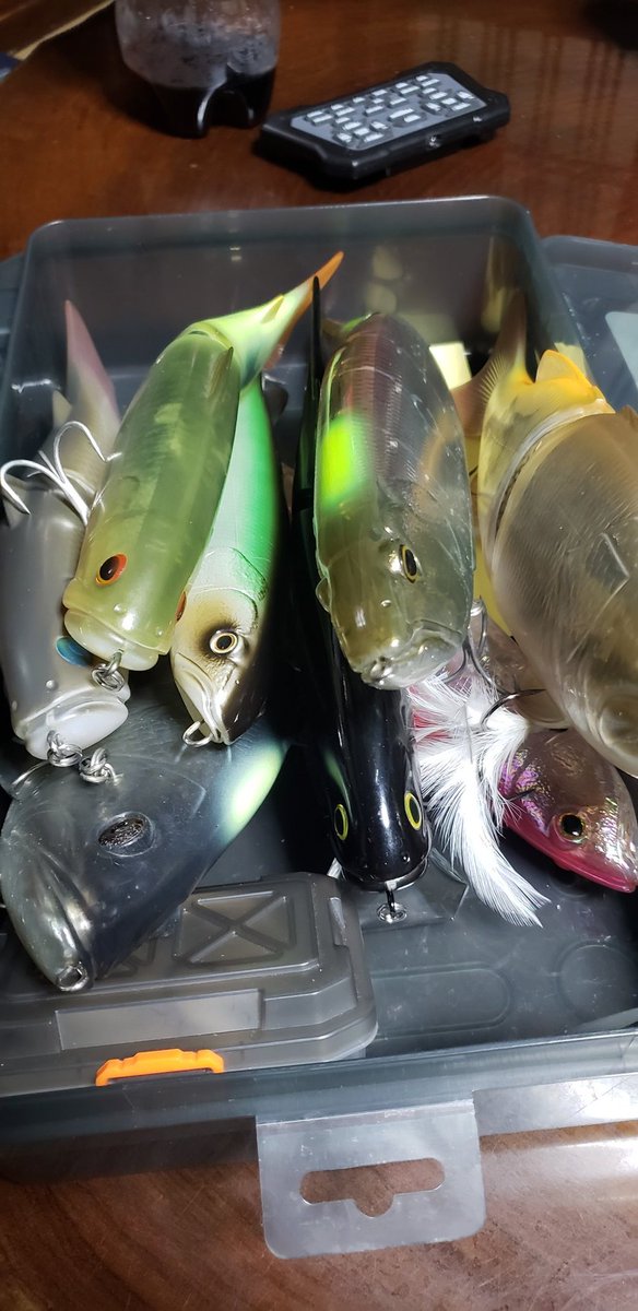tsuchida7ryu's tweet photo. マックスサイズのメスを日中狙うならやっぱりジャイアント
前川で投げてると笑われる
投げたこともない奴等がうるせー
普通の釣りが飽きてきてる…
山形で釣れるんですか？ってよく聞かれるけど、琵琶湖も山形も同じバス。
#deps
#スライドスイマー250
#コードネームバス
#ギラギラコウゲキ https://t.co/jyV89niory