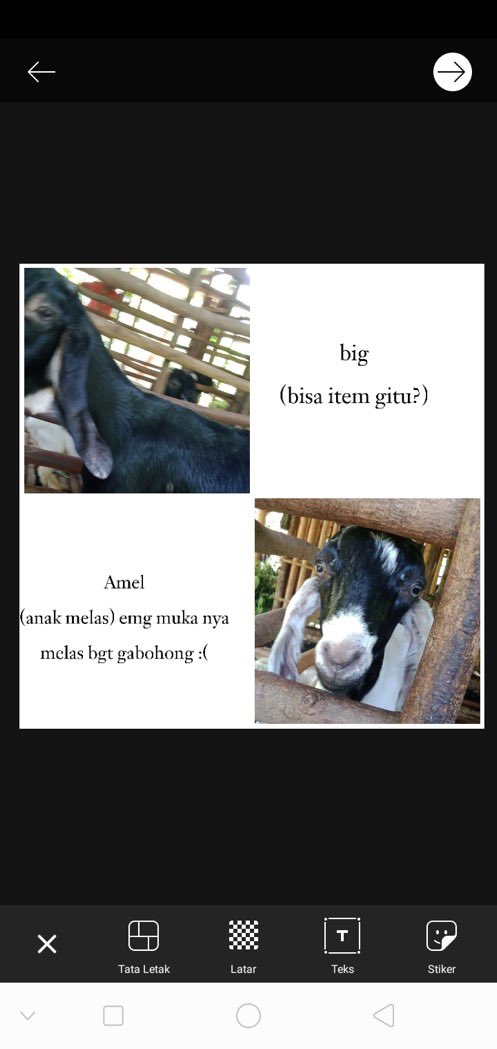 AymanAlatas's tweet photo. Update Chiko dkk kehidupannya penuh kejutan ya https://t.co/Y5pM8AYjcX