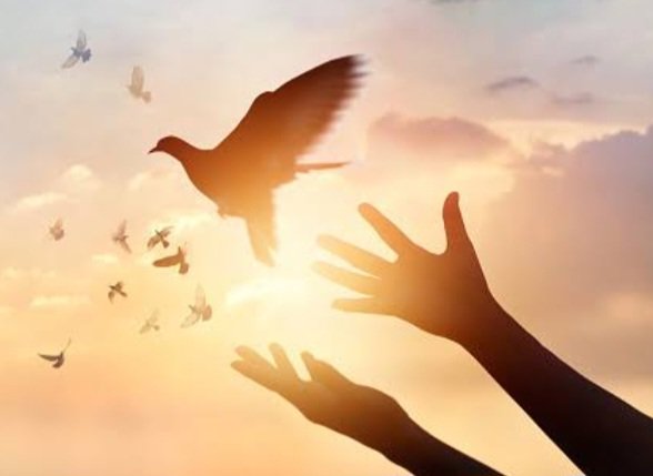 Ne çok mühür vurdum,
Her üç noktanın önüne koyduğum "hayırlısı" sözüyle tevekkülüme...

Sen arzu halime en çok kefilsin Rabbim...
...

#KadirGecesi 
#HayırlıSabahlar
