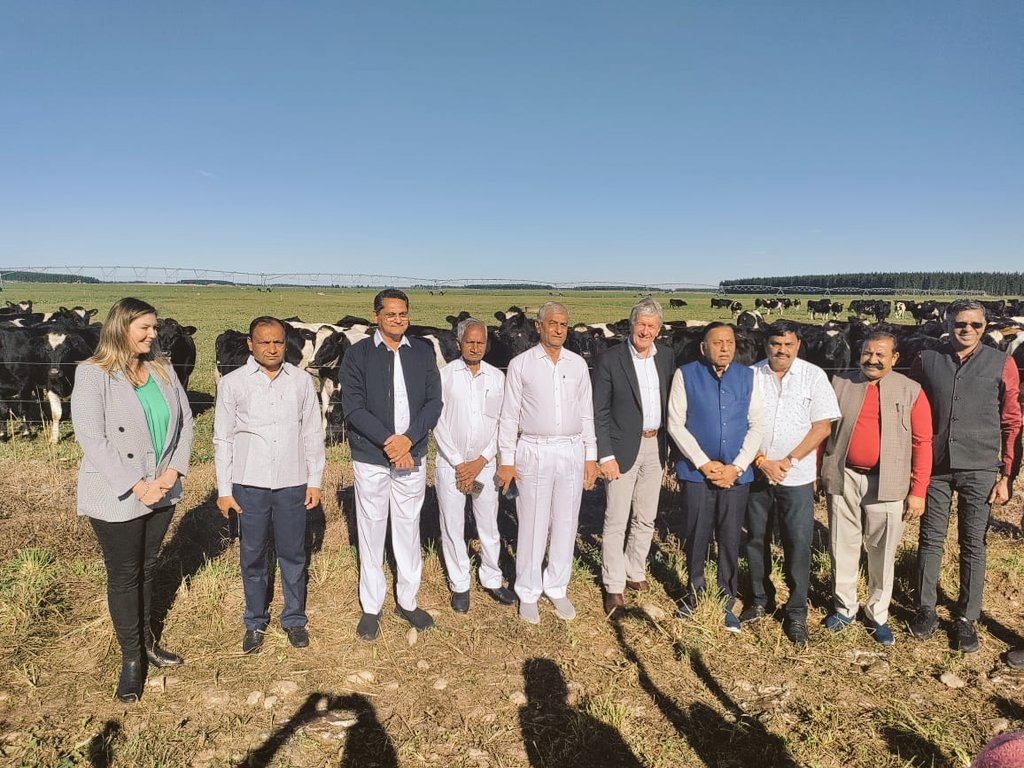 ValamjiRHumbal's tweet photo. Visited new Zealand's largest cow farm with new Zealand's Minister and board member of GCMMF #Amul 

#Amul #New_zealand #minister #AmulMilk #amulindia #amulproducts #new_zealand #New_Zealand_Minister #visit #cow_farm https://t.co/HqoLSvSnEX