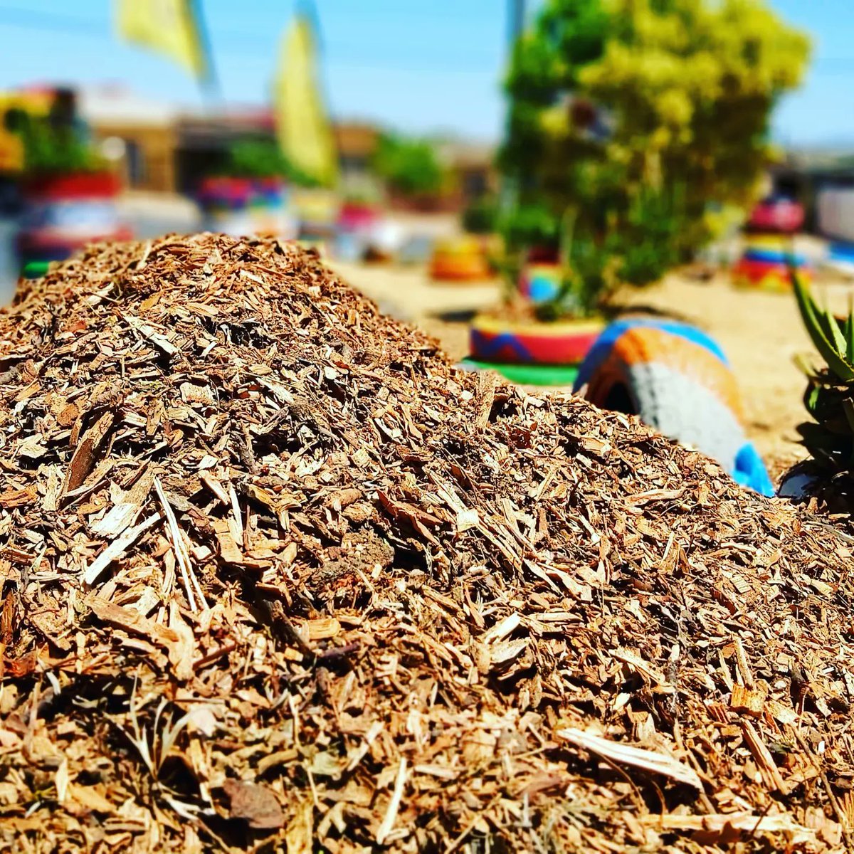 SiyabongaSteng1's tweet photo. Optimism is a strategy for making a better future. Because unless you believe that the future can be better, it's unlikely you will step up and take responsibility for making it so.
#Stopillegaldumping #Mbekweni #MyEviromentMyResposibilty #fixmyspace #makeadiffrence #BillGates https://t.co/2mvCVPajnl