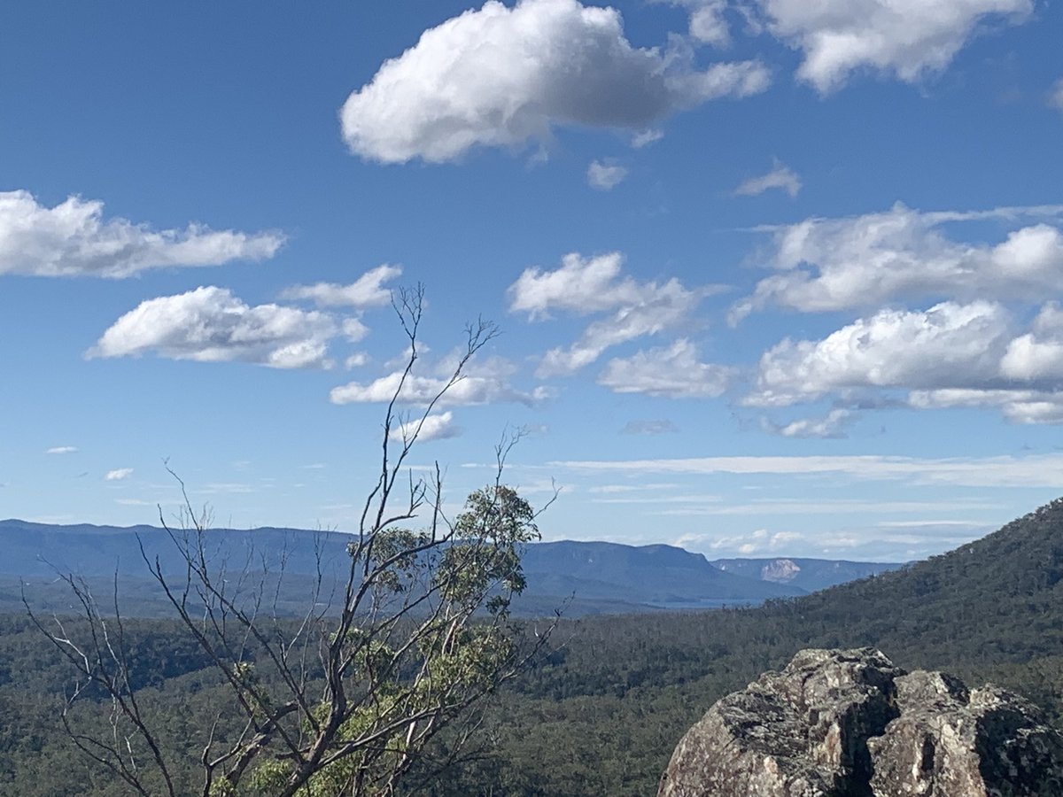 dr_cairns's tweet image. For a #labscientist I’ve been getting out in the field quite a bit lately! I love #citizenscience and #onground conservation, especially with Traditional Owners.