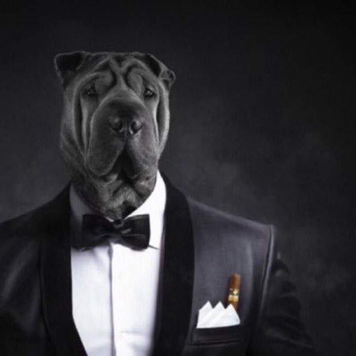 decayingjoy's tweet image. It's over these wolves stink