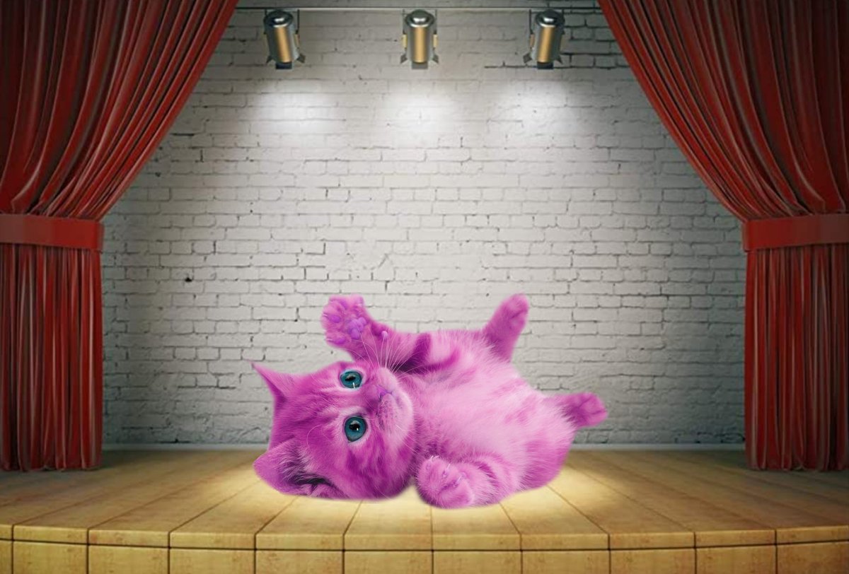 Hum_Pinky's tweet image. meow :3