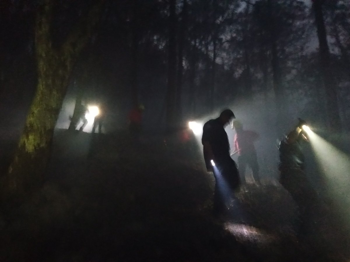 medioambiente_H's tweet photo. Desde la #Semarnath🌱 refrendamos nuestro orgullo y agradecimiento hacia los #Brigadistas de incendios forestales👨🏻‍🚒🔥, por su ardua labor durante dos días en el combate y control del incendio suscitado en el Parque Nacional #LosMarmoles. https://t.co/s2dj94rl63