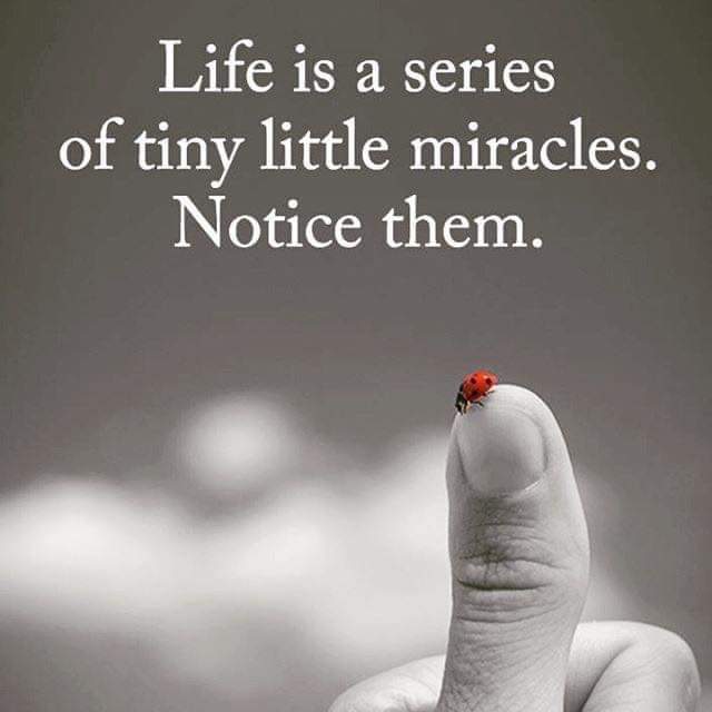 PsychicMediumJG's tweet image. Sign from above!👏🌺🐞🙏🐞🙏🌺👏🐞🙏👏🌺🐞#meditation #mediumshipreadings #psychic #healing 
Josephineg.com9