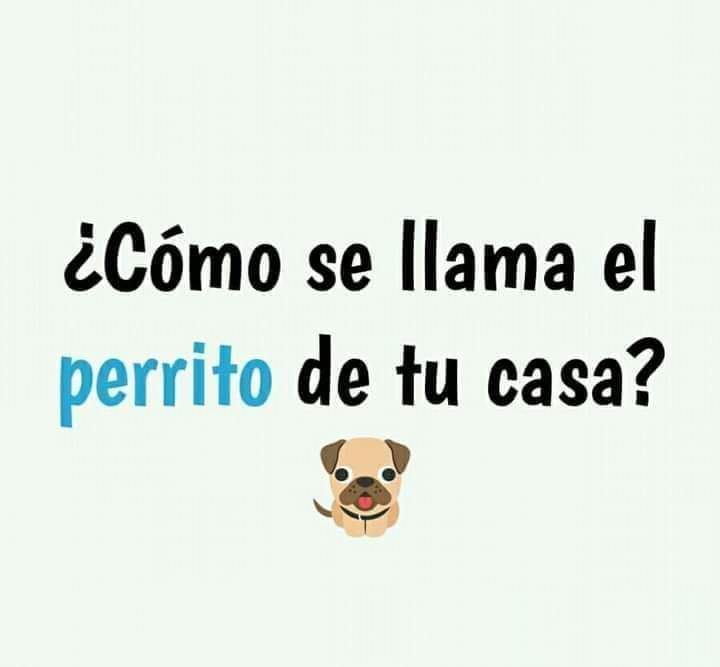 Sabueson tweet media