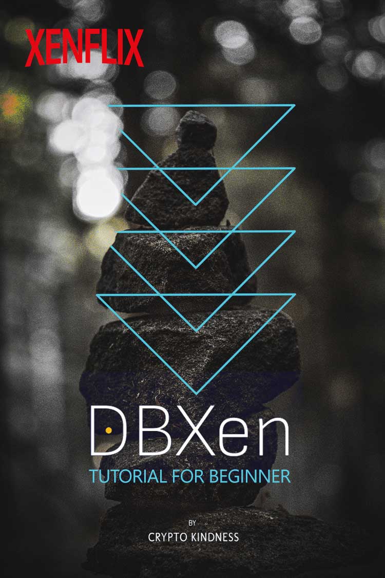 XEN MAXIMUS - X1 tweet media