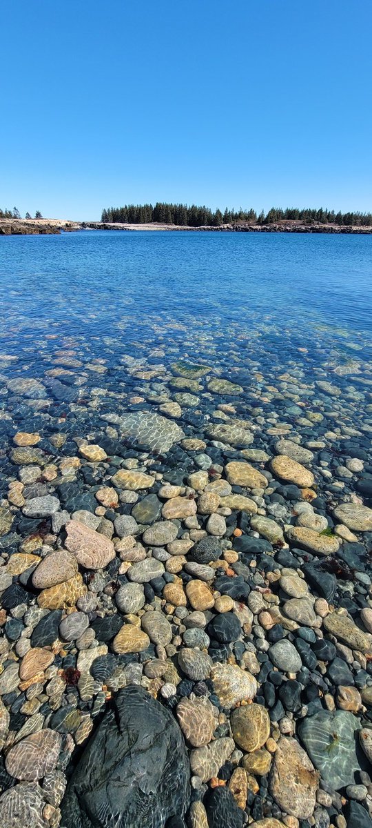 Here's an #aprilwaterchallenge from the archives.  #schoodic #getoutside #mainethings