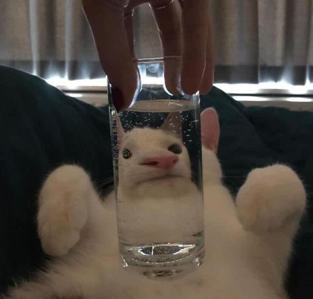 TranslatedCats's tweet photo. I can only be a faded person in your eyes. https://t.co/0fiyVWFDIF