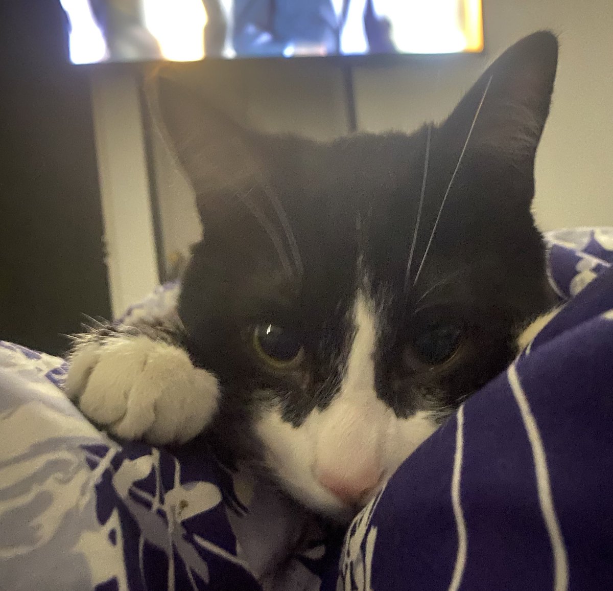 solo basta una mirada así… 
#FelizDomingoATodos