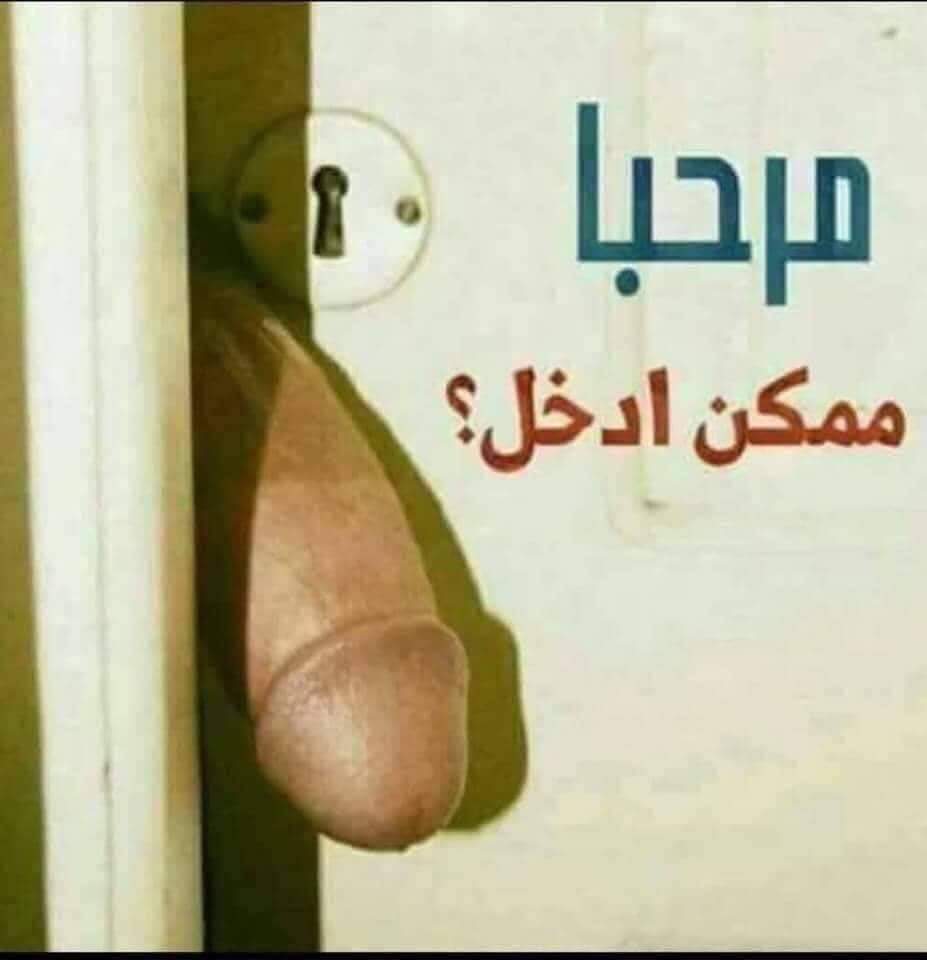 AchrfAli2's tweet photo. @benito282828 https://t.co/dxKcyjAM6e