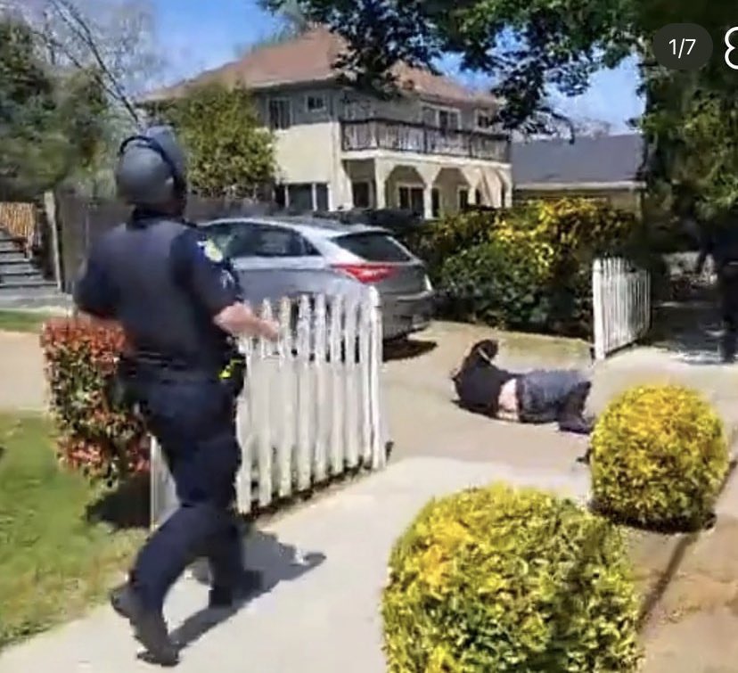 Two months in a row of fucked up proud boys and Nazis 

0-2!