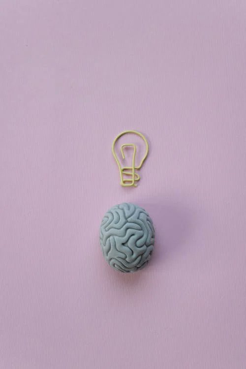 PropositoyVida's tweet photo. 12 Maneras sencillas de mantener tu cerebro saludable:

- HILO - https://t.co/ZO8UcSSysC