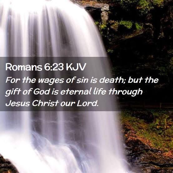 DavidJa75377097's tweet photo. Livings as the world does can only lead to death now and later. But faith in Christ affords us the opportunity to reject the world's ways and live life right now abundantly and for all eternity. ❤️ 🙌🏿 🙏🏿 👍🏿 https://t.co/jWc3V90iNT