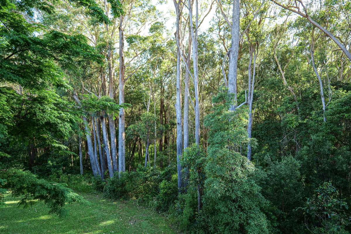 Innovation Hub Coffs Coast tweet media