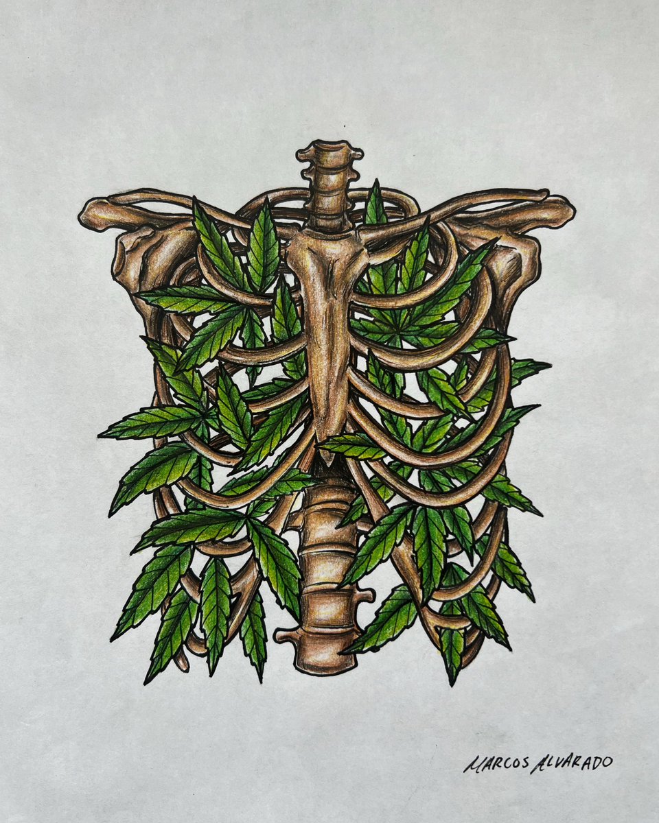 marcosalvarado_'s tweet photo. Insides 🫁🍀 https://t.co/RnUbintDJE