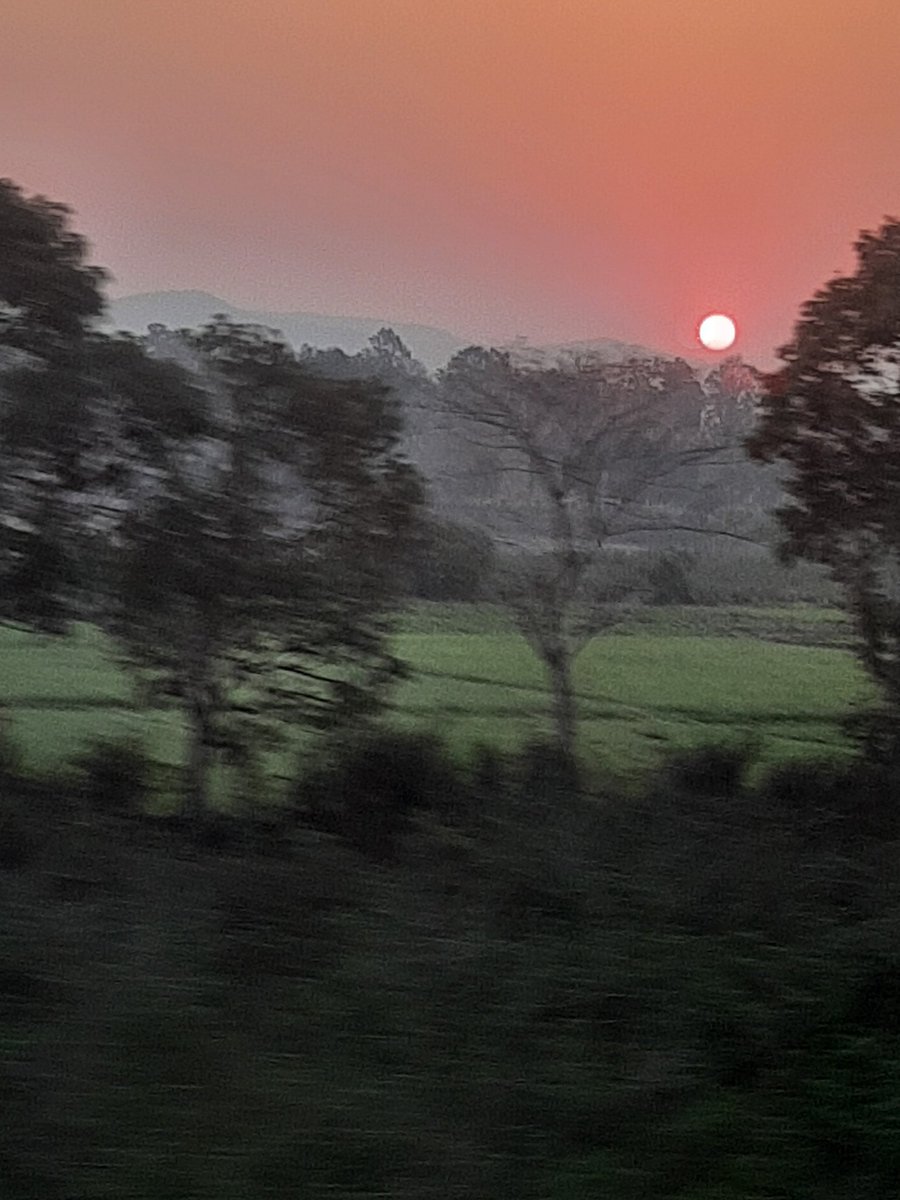 A glimpse of the rising sun🙌 
through the windows of my train today🚉
#NaturePoetry
