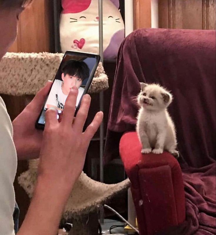 returnmin's tweet photo. / แซะ ! ! 📷 🐈‍⬛ 💘 https://t.co/vxvy1oNI8u