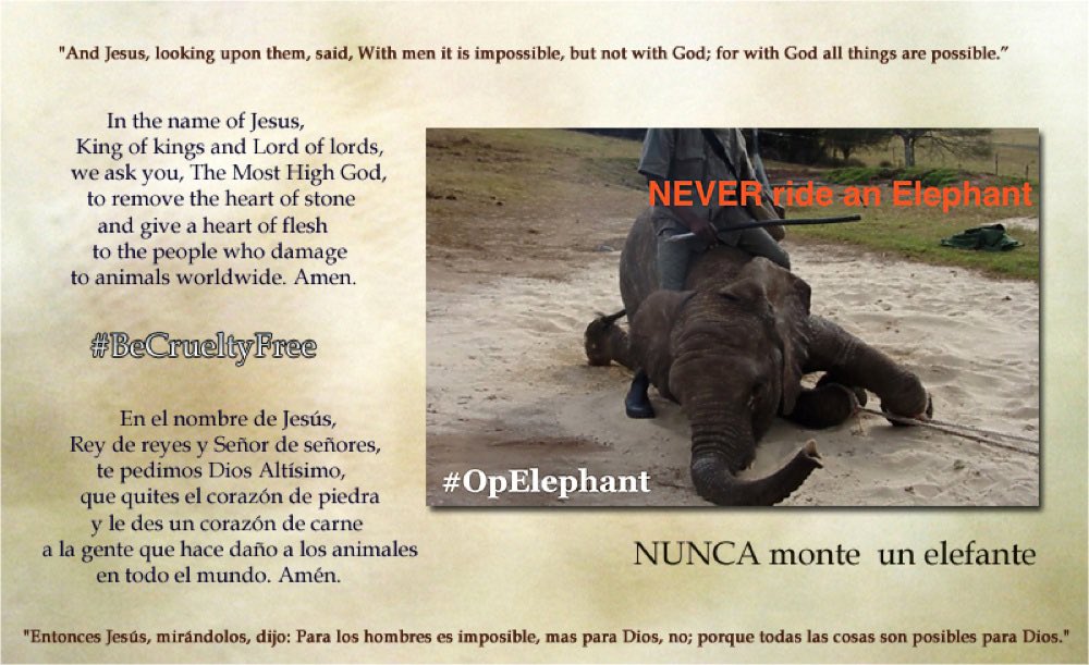 @PETAUK #OpElephant #BeCrueltyFree