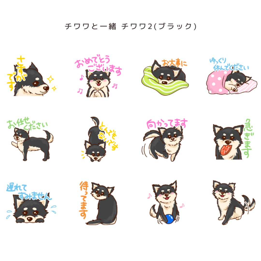 PENS_LINE's tweet photo. LINEスタンプ販売のお知らせです✨

「チワワと一緒 チワワ2(ブラック)」
リリースしてます😉✨

前回に引き続き、チワワキャラクター第二弾です！
▽LINEスタンプ
https://t.co/WqdviJvlQU

#lineスタンプ販売中
#LINEスタンプ  
#チワワ 
#企業公式相互フォロー祭り
#企業公式春のフォロー祭り https://t.co/MHfvUdFgCb