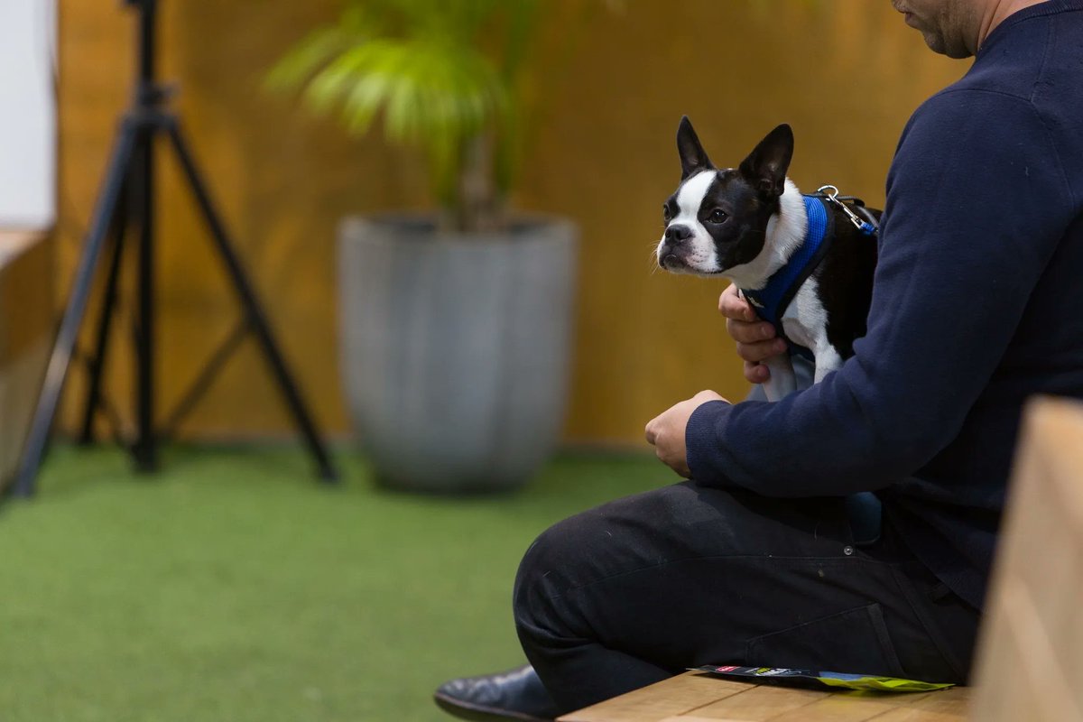 CreativeMornings/MEL tweet media