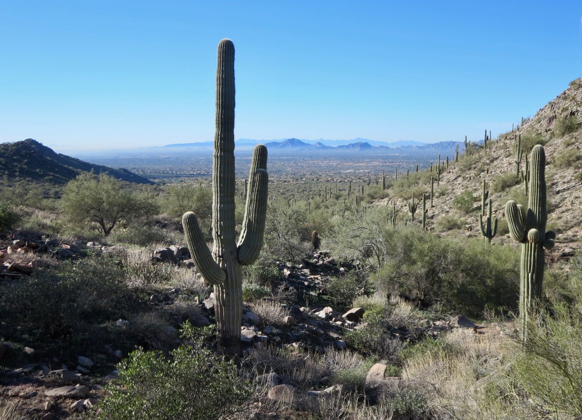 A Valley view from the McDowell Sonoran Preserve in Scottsdale.