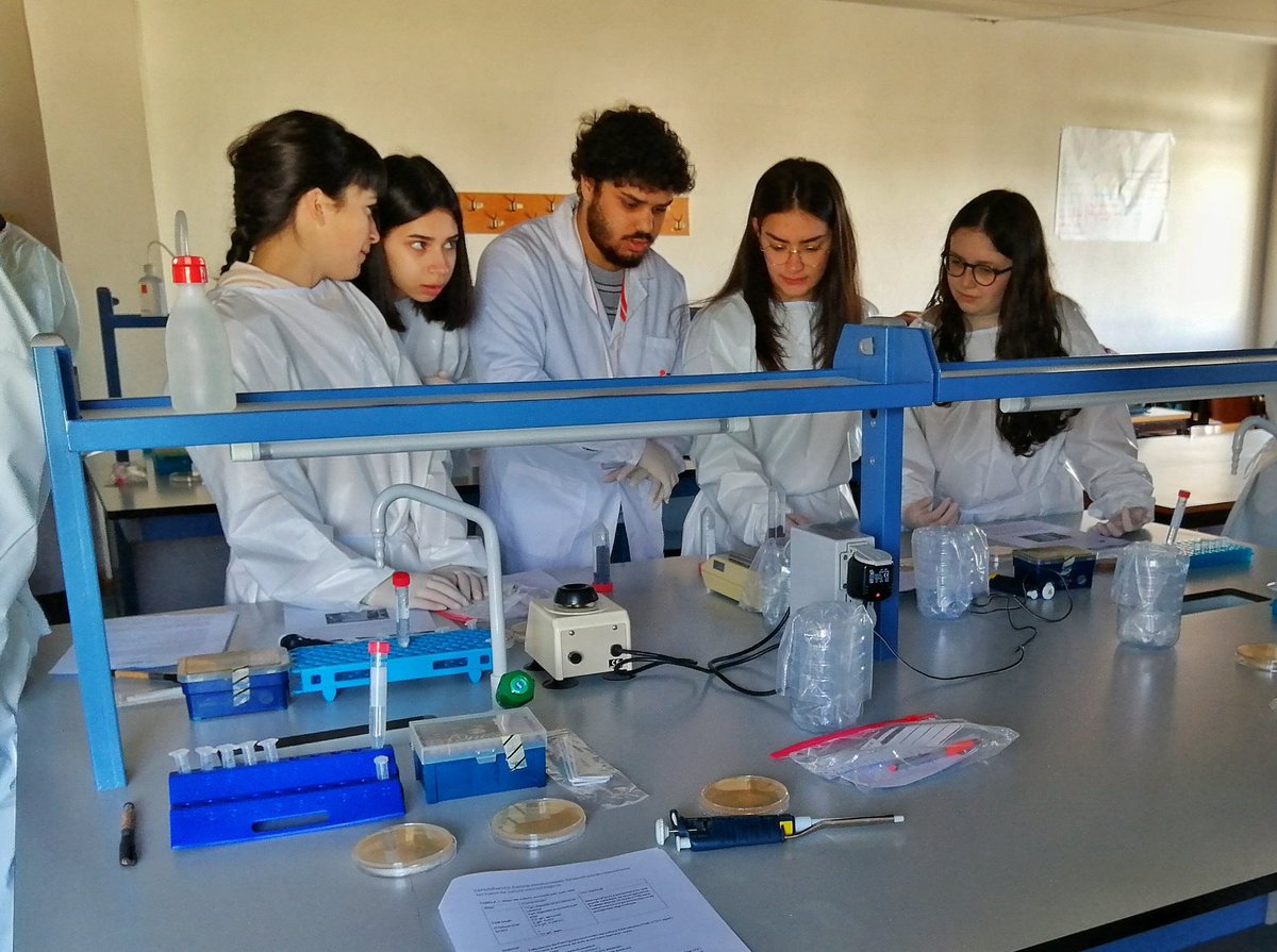 MicroMundo_IUCS's tweet image. The second session of MicroMundo 🌍 was held last Thursday where the samples were processed, which led the students to contact some laboratory techniques 🔬 for the first time and successfully execute them!!😇