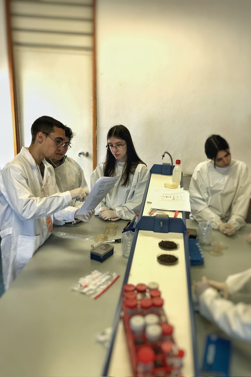 MicroMundo_IUCS's tweet image. The second session of MicroMundo 🌍 was held last Thursday where the samples were processed, which led the students to contact some laboratory techniques 🔬 for the first time and successfully execute them!!😇