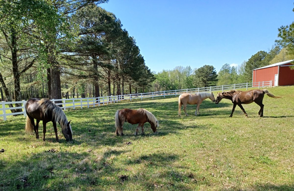 DIEGO RANCH INC on Twitter: 