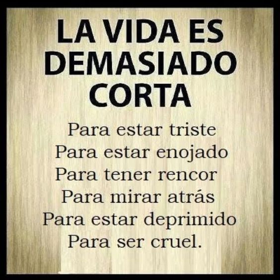 fredecha84's tweet photo. https://t.co/WJwQ2hgqdj