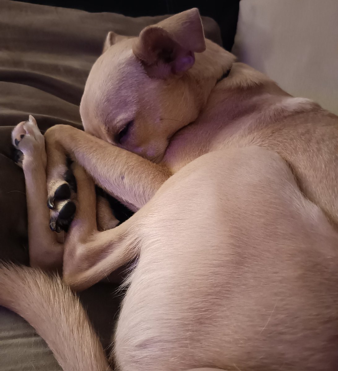 She hides in her plentiful legs