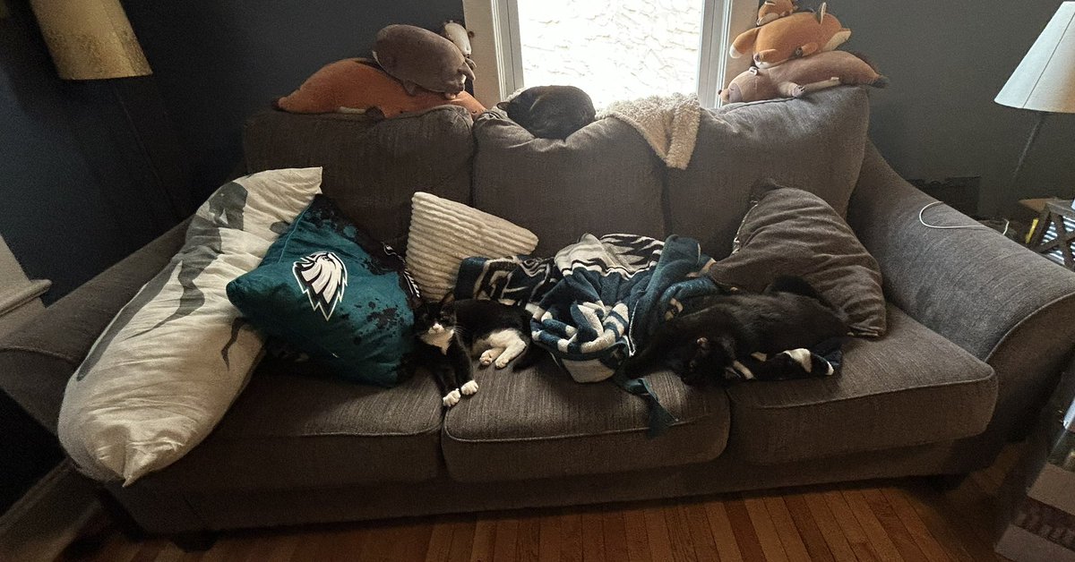 Sriracha_Cat's tweet photo. Everyone has a spot on the couch https://t.co/XdZzogH1wW