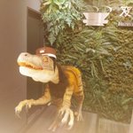 ツイートに含まれる画像