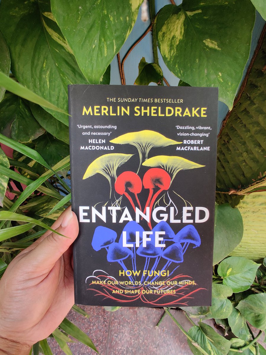 #MondayRead

In 'Entangled Life', Merlin Sheldrake takes us on a mind-altering journey into their spectacular world, and reveals how these extraordinary organisms transform our understanding of our planet and life itself.

Shipping wherever you read!