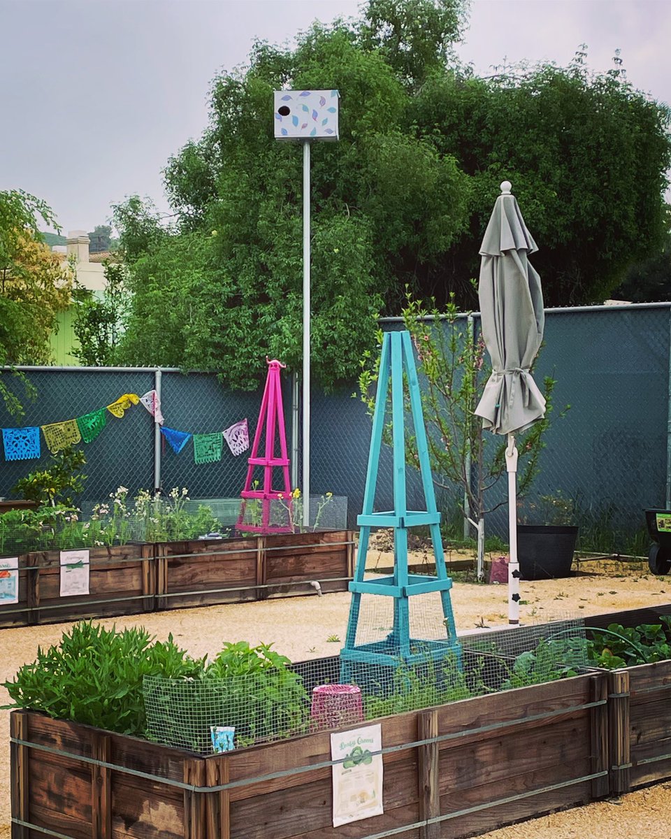 Know any feathered families that need a home? Thank you to the Facilities crew for hanging our owl cottage in the AEW garden. <a href="/Lvusdcentralkit/">LVUSD Child Nutrition Department</a> <a href="/LVUSD/">LVUSD</a> <a href="/AEWrightMS/">A.E. Wright MS</a>