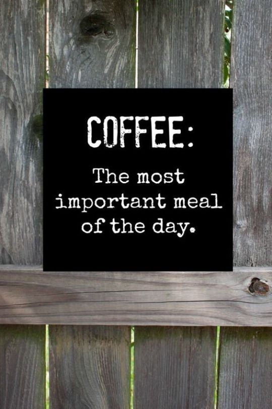CurieuxExplorer's tweet photo. @tobiaskintzel @fogle_shane @postoff25 @LavaletteAstrid @Khulood_Almani @Eli_Krumova @NutritiousMind @ComesAnnemarie @RagusoSergio @baski_LA @smoothsale @DrNikolova_Rumi @TanyaSinha_ @mdrechsler @sminaev2015 @enilev @SiddharthKS @Sharleneisenia @sonu_monika Thank you, my friend, 🫂 Hope you had a great weekend🌟 #Monday kickstarted with #Procaffeinating☕️#coffee😊 Wish you a productive week ahead, Tobias @tobiaskintzel💫 #MondayMotivation https://t.co/qZwSmVlXWu