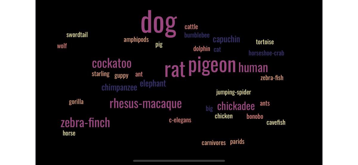 Jennifer Colbourne 🦜🏳️‍🌈🇨🇦 tweet media