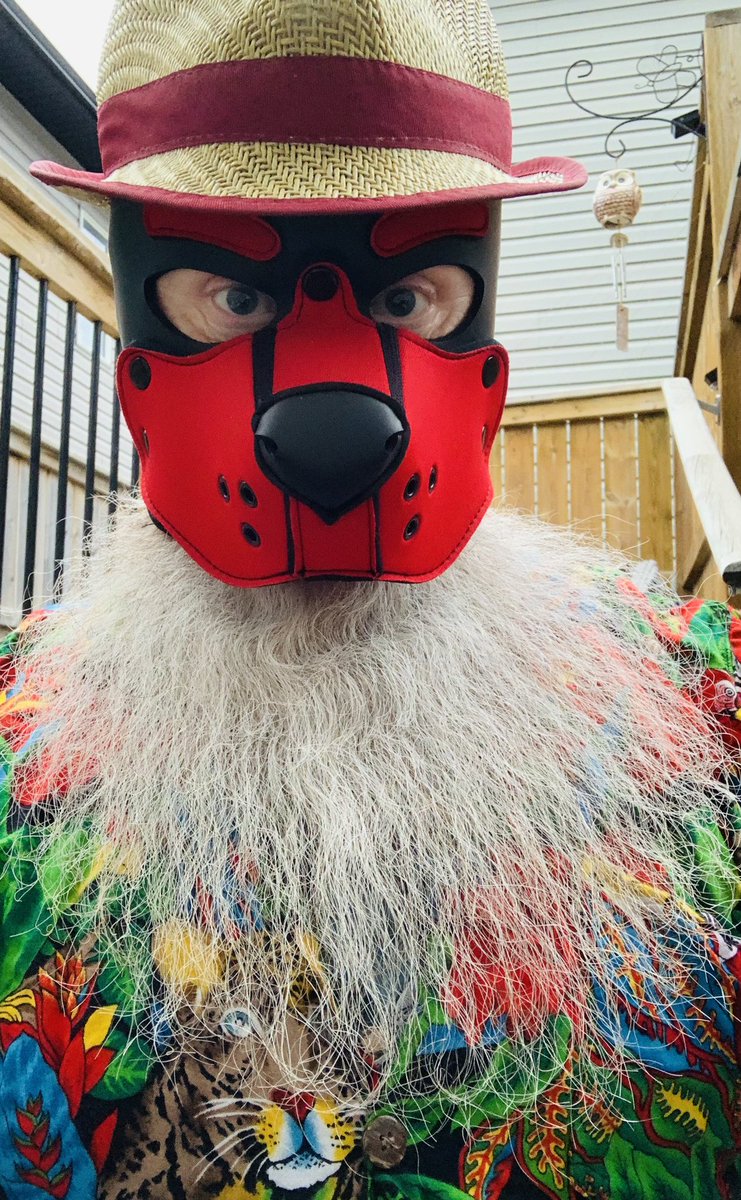 PupChunk's tweet photo. Can’t wait for those dog days of summer https://t.co/DbTORnzREK
